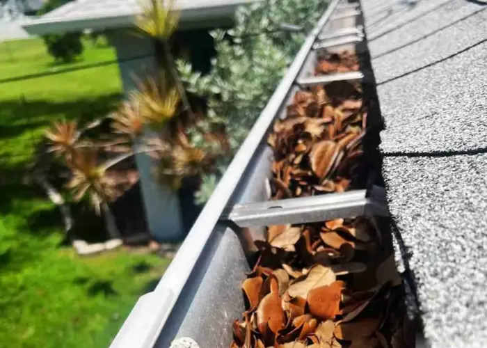 Gutter Cleaning Zebulon home page