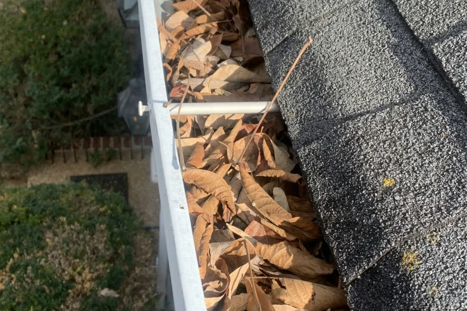 Gutter Cleaning Zebulon